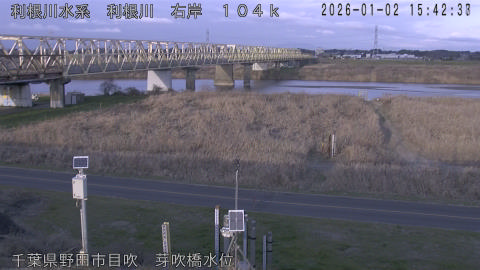 tonme2026010216_image