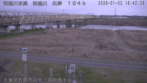 tonme2026010217_image