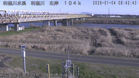 tonme2026010409_image