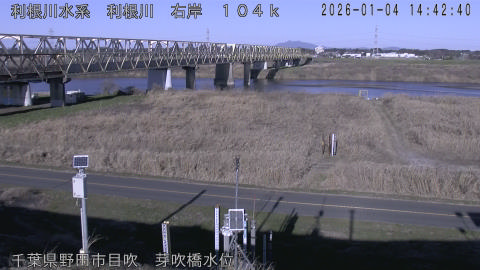 tonme2026010415_image