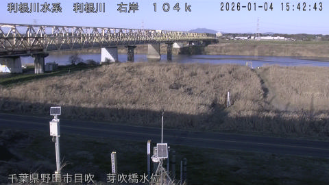 tonme2026010416_image