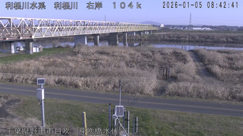 tonme2026010509_image