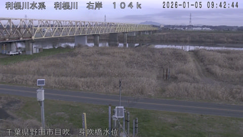 tonme2026010510_image