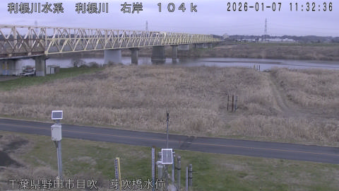 tonme2026010712_image