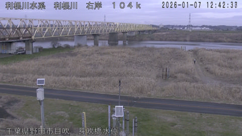 tonme2026010713_image