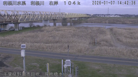 tonme2026010715_image