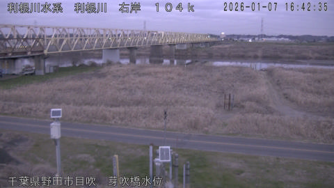 tonme2026010717_image