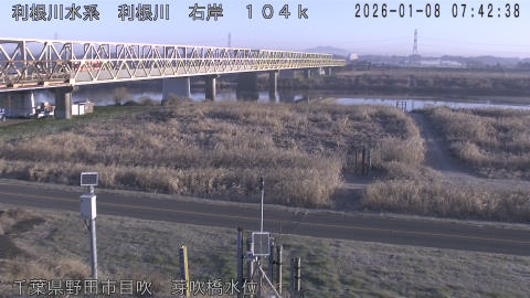 tonme2026010808_image