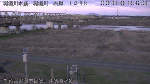 tonme2026010817_image