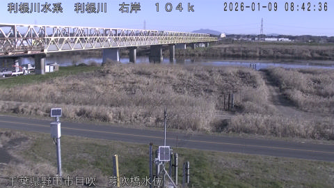 tonme2026010909_image