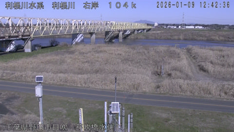 tonme2026010913_image