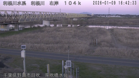 tonme2026010917_image