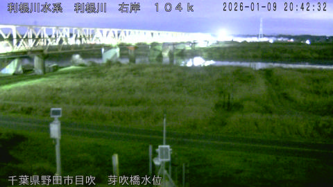 tonme2026010921_image