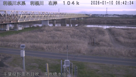 tonme2026011007_image