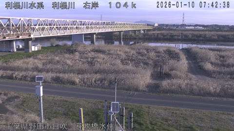 tonme2026011008_image