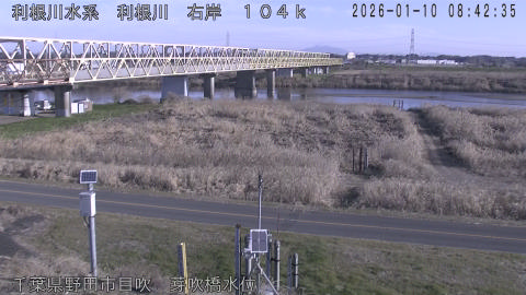 tonme2026011009_image