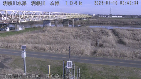 tonme2026011010_image