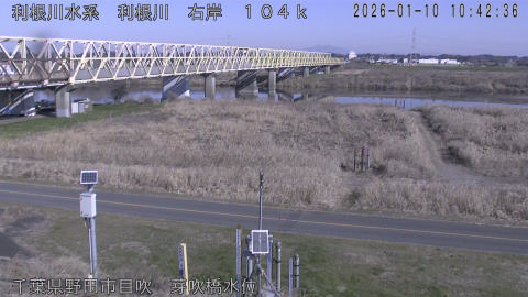 tonme2026011011_image