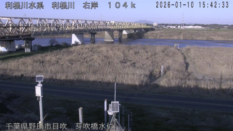 tonme2026011016_image