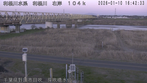 tonme2026011017_image