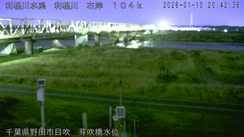 tonme2026011021_image