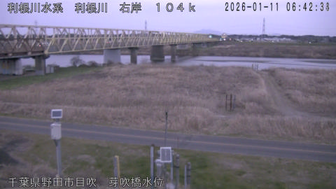 tonme2026011107_image