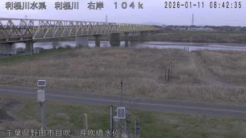 tonme2026011109_image