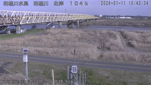 tonme2026011111_image