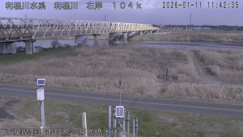 tonme2026011112_image