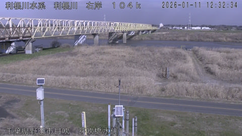 tonme2026011113_image