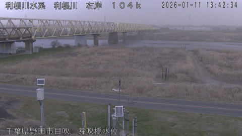 tonme2026011114_image