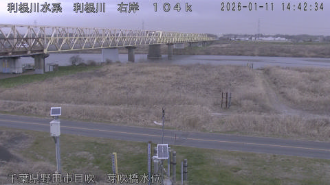 tonme2026011115_image