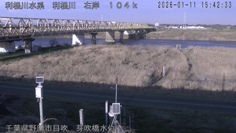 tonme2026011116_image