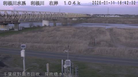 tonme2026011117_image