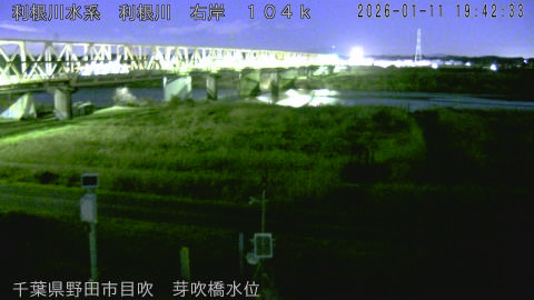 tonme2026011120_image