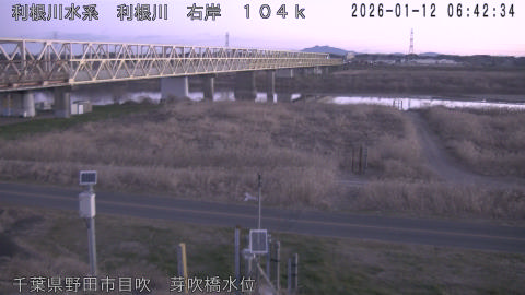 tonme2026011207_image