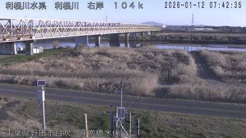 tonme2026011208_image