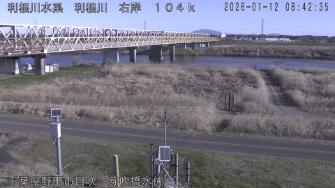 tonme2026011209_image