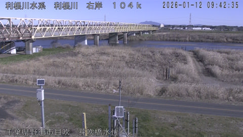 tonme2026011210_image