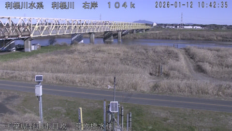 tonme2026011211_image