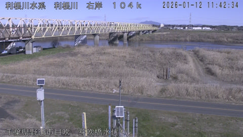 tonme2026011212_image