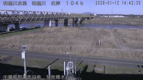 tonme2026011215_image