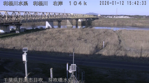 tonme2026011216_image