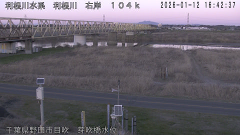 tonme2026011217_image