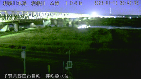 tonme2026011221_image