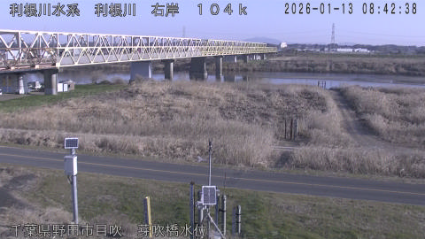 tonme2026011309_image