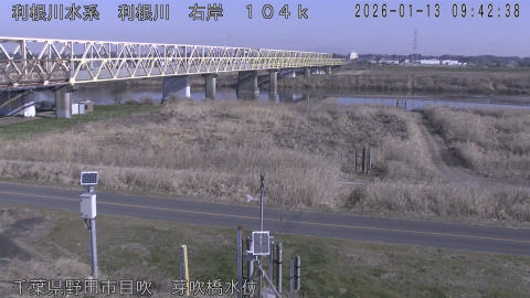 tonme2026011310_image