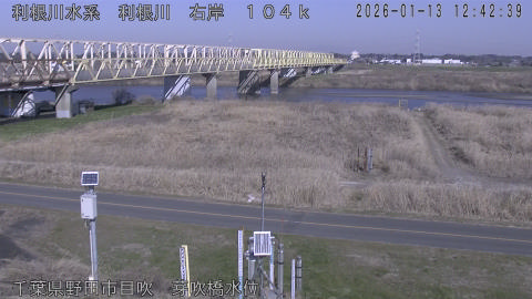 tonme2026011313_image