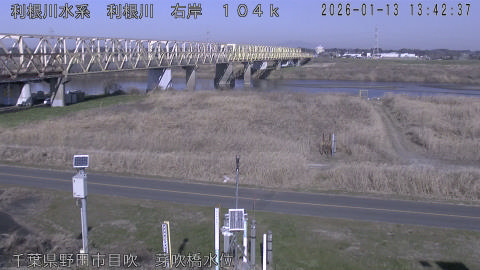 tonme2026011314_image