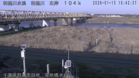 tonme2026011316_image